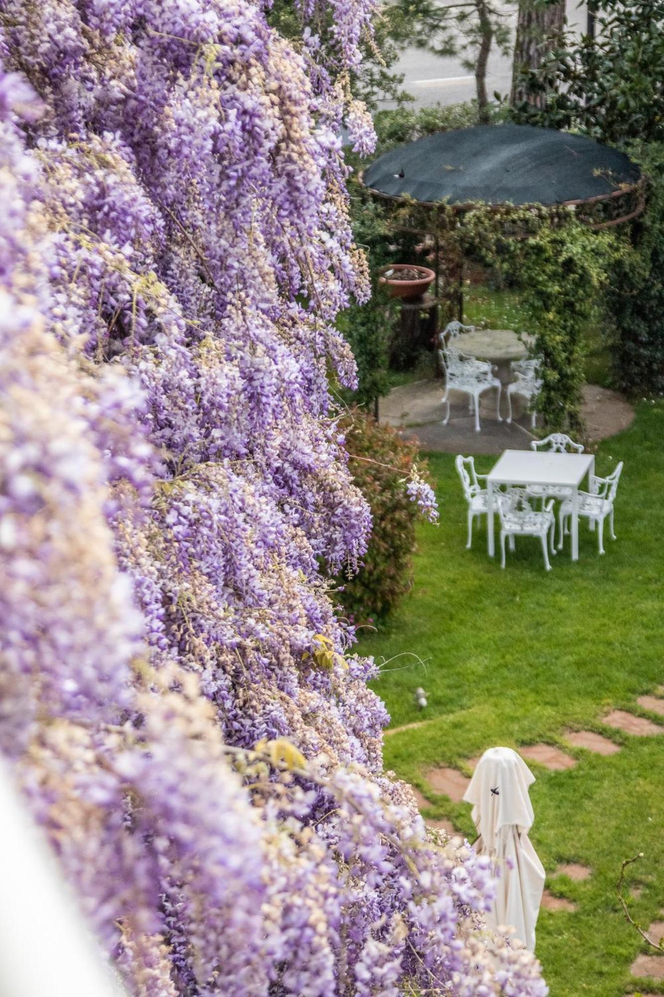 Villa Arizona Milano Marittima Zewnętrze zdjęcie